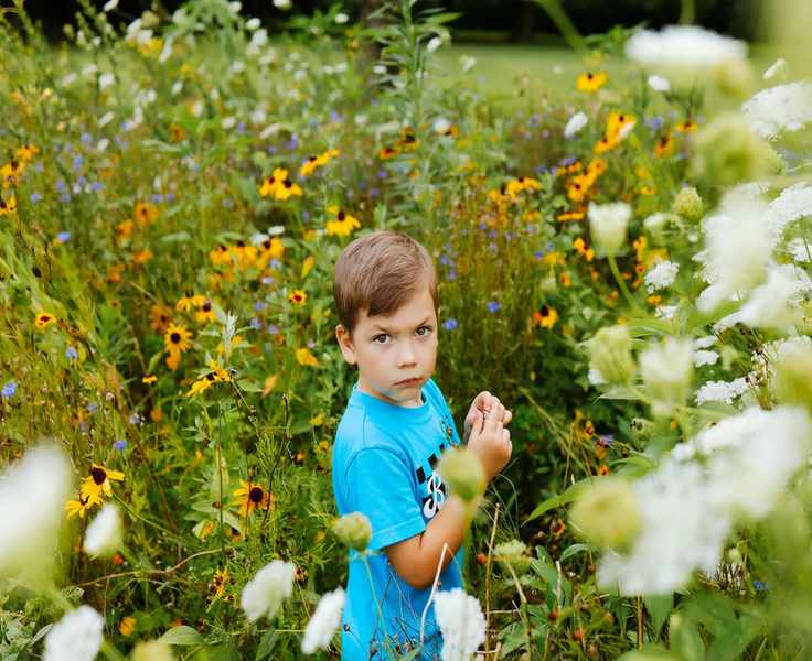 Discovering Beauty in Your Backyard: The American Meadows Journey