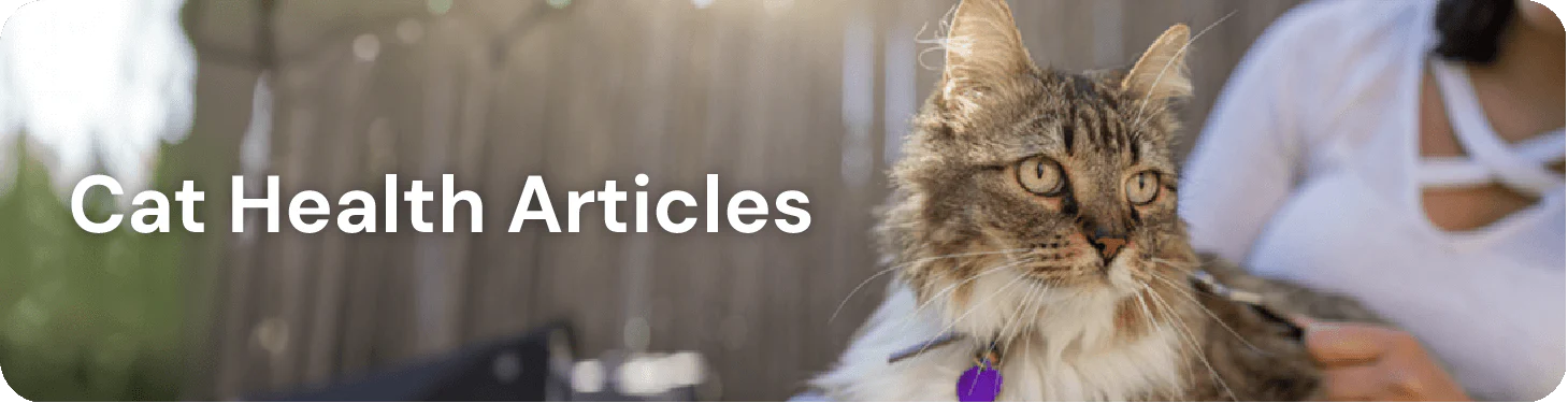 The Quiet Rise of AnimalBiome: Redefining Pet Health