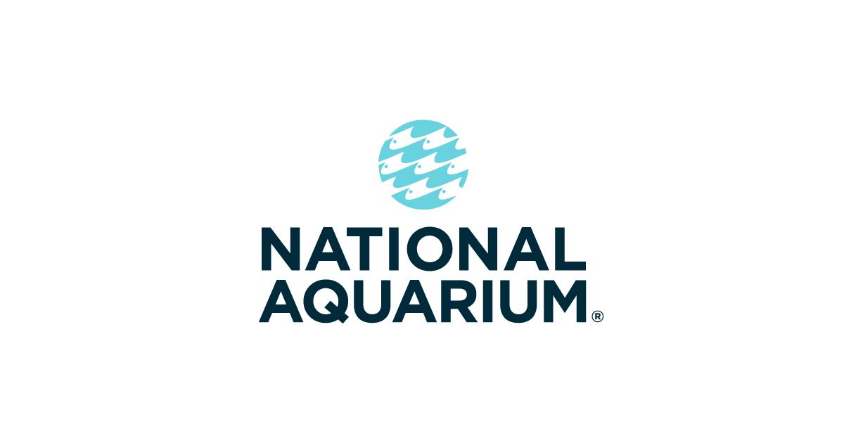 National Aquarium vs the Rest: Which One Actually Wins