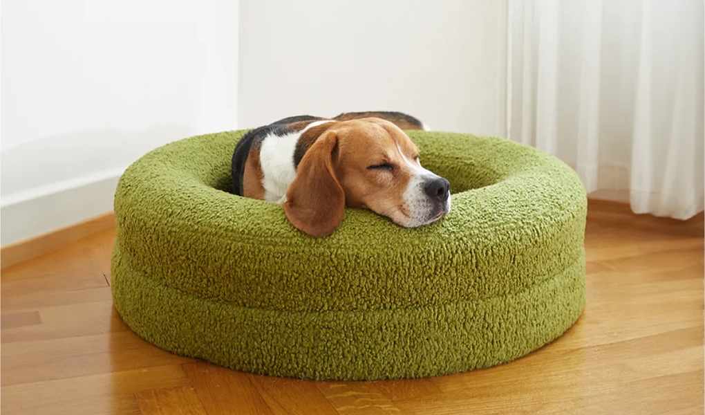 12 Ways to Enhance Your Dog's Comfort with Barney Bed