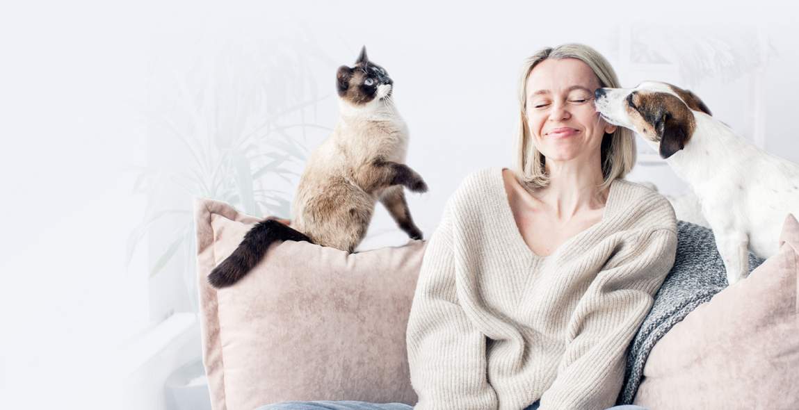 2026 Snapshot of the Pet Care Landscape
