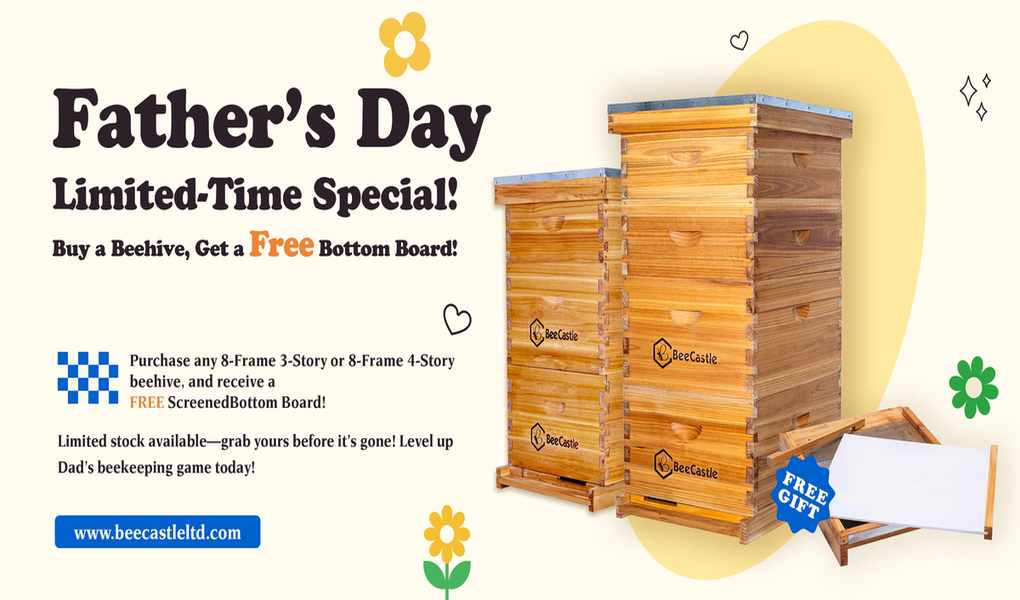 Exploring the Buzz of BeeCastle Beekeeping Supplies