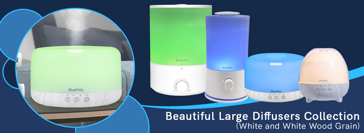 Blue Hills or Flipkart? Here's What Each Does Best