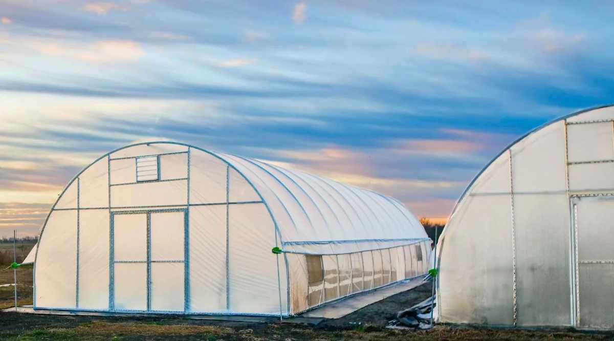 Bootstrap Farmer 2026: A Buyer's Reality Check