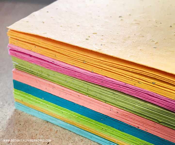 Botanical PaperWorks: A Fresh Take on Celebratory Sustainability