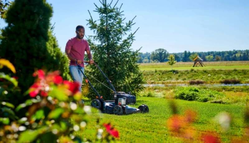 Briggs & Stratton: A Side-by-Side Comparison with Rivals