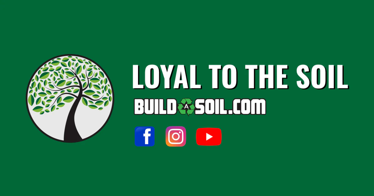Organic Gardening's New Wave: Brands to Know This Year