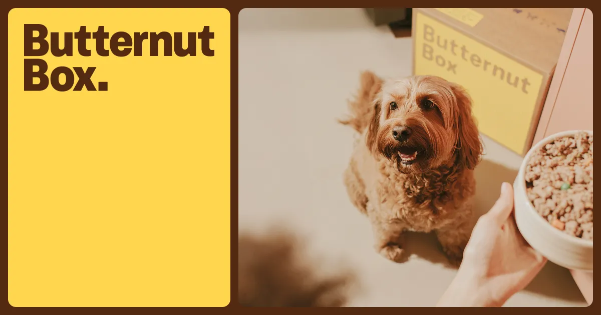 The Honest Comparison: Butternut Box and What Else Is Out There