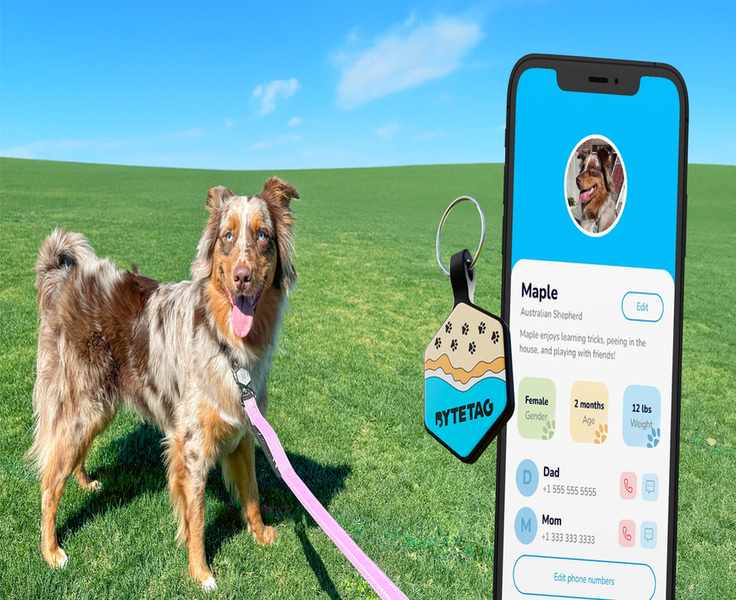 A Side-by-Side: ByteTag Against the Competition