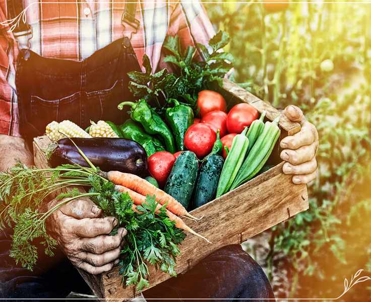 12 Smart Ways to Maximize Your Harvest Guard Reusable Canning Lids