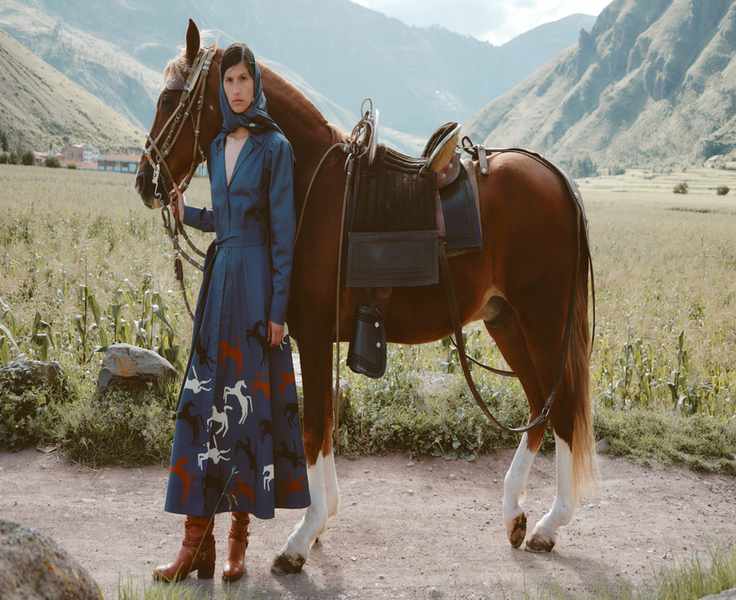 Carolina K vs the Rest: Which Brand Truly Delivers?