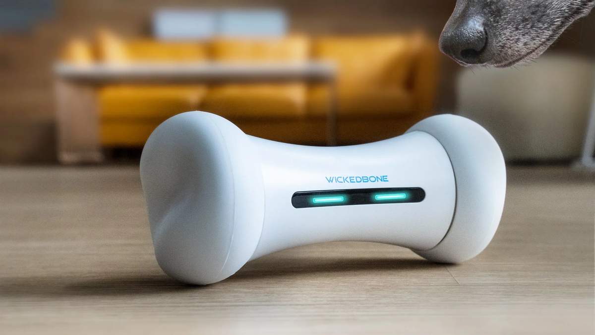 Pet Products' New Wave: Brands to Know This Year