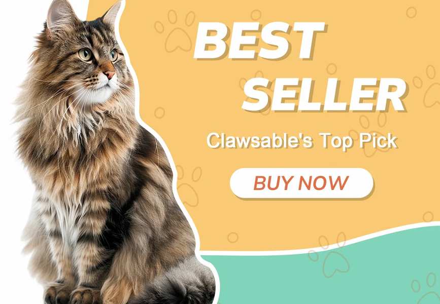 The Cat Care Brands Quietly Changing How We Shop