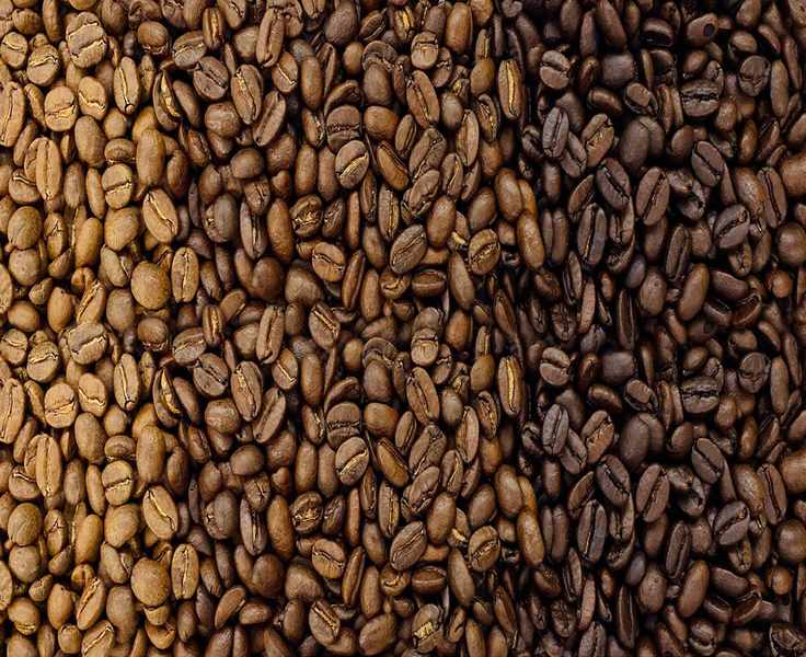 Copper Moon Coffee, From the Other Side of Checkout
