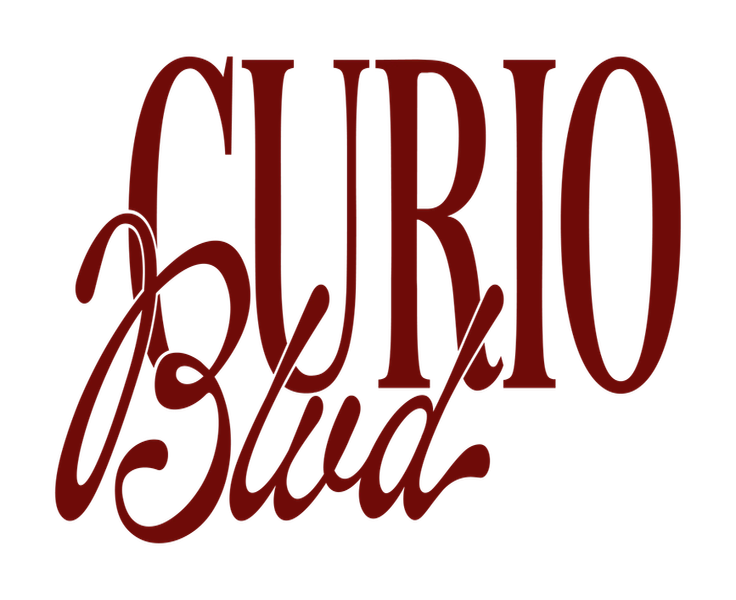 The Honest Take on Curio Blvd (From Someone Who Shops It)