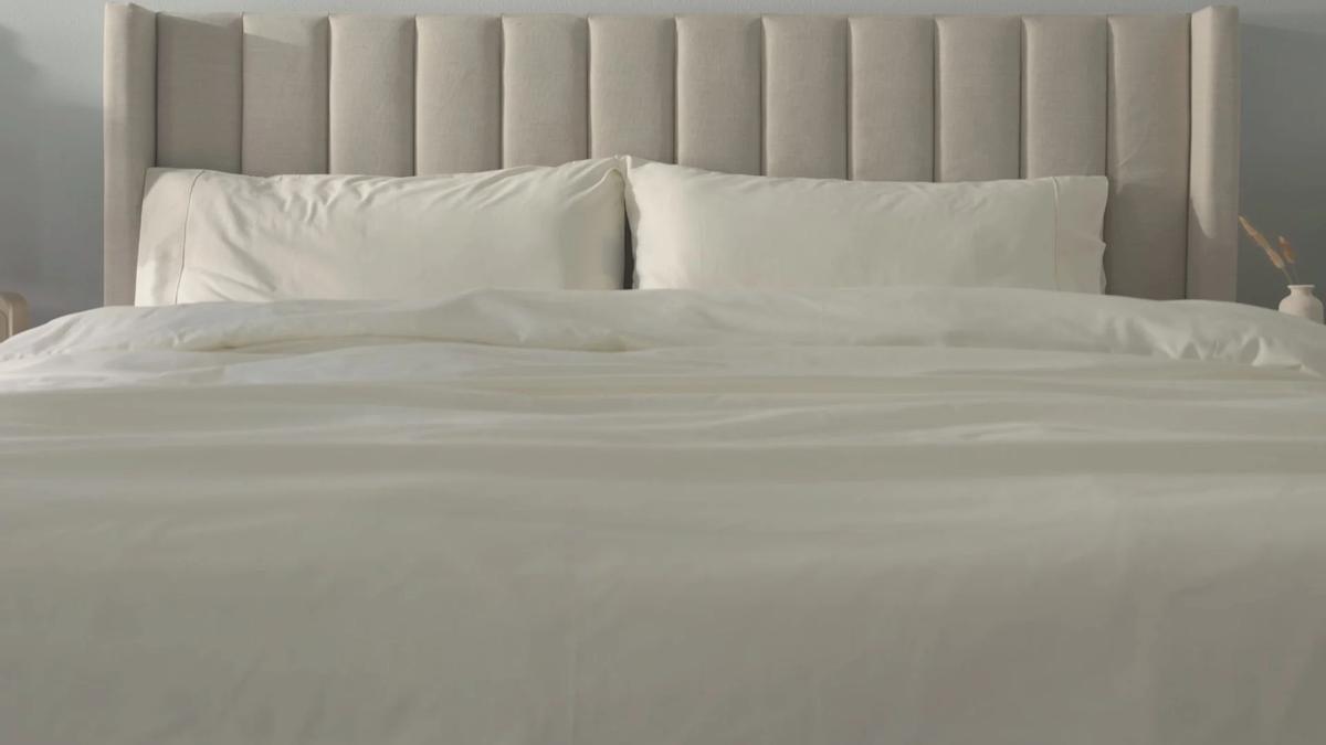 DelaraHome: A Shopper's Field Guide to Eco-Friendly Comfort