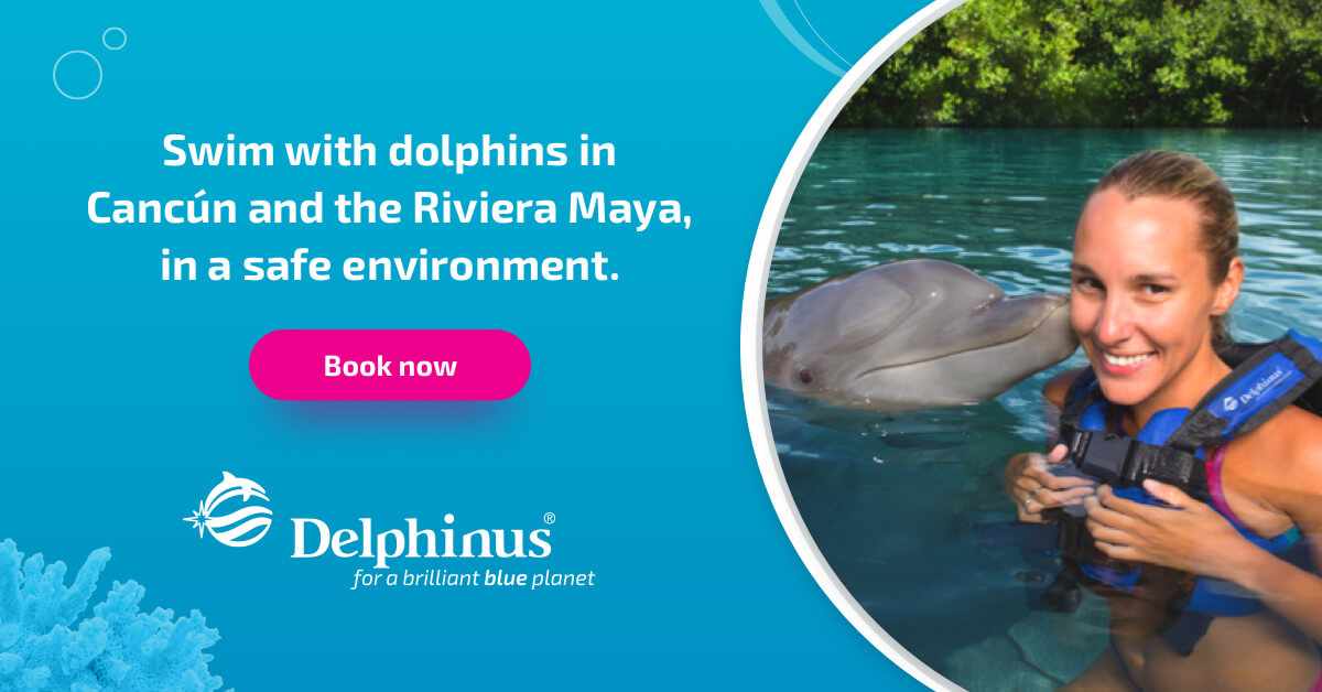 Delphinus or Denver Zoo? Here's What Each Does Best