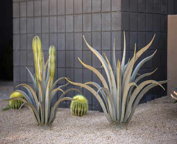 Desert Steel: An Honest Long Look at Yard Art