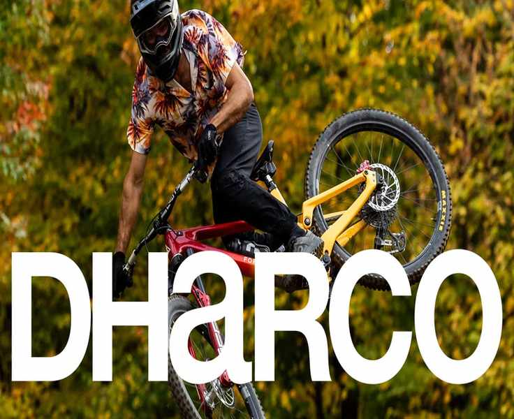 The Quiet Rise of Dharco: Where Style Meets Performance