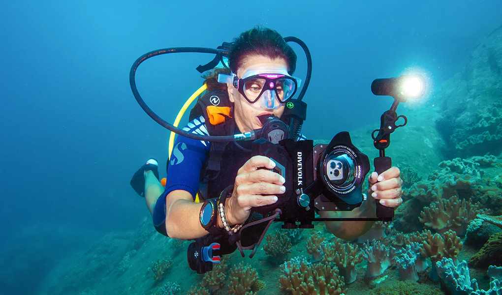 The Quiet Rise of Divevolk: Navigating Online Discounts