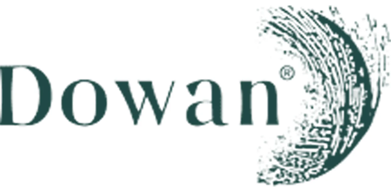 Why Everyone's Talking About DOWAN in 2026