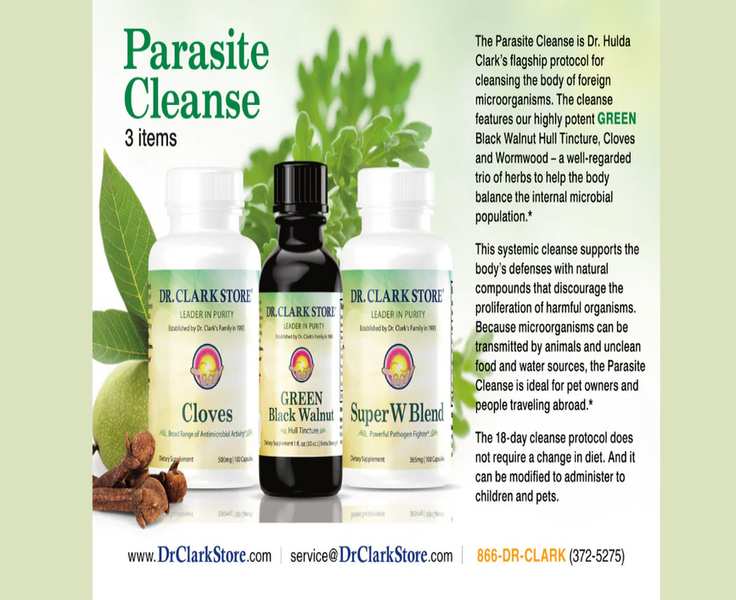 Choosing Dr. Clark Store Versus Its Notable Competitors
