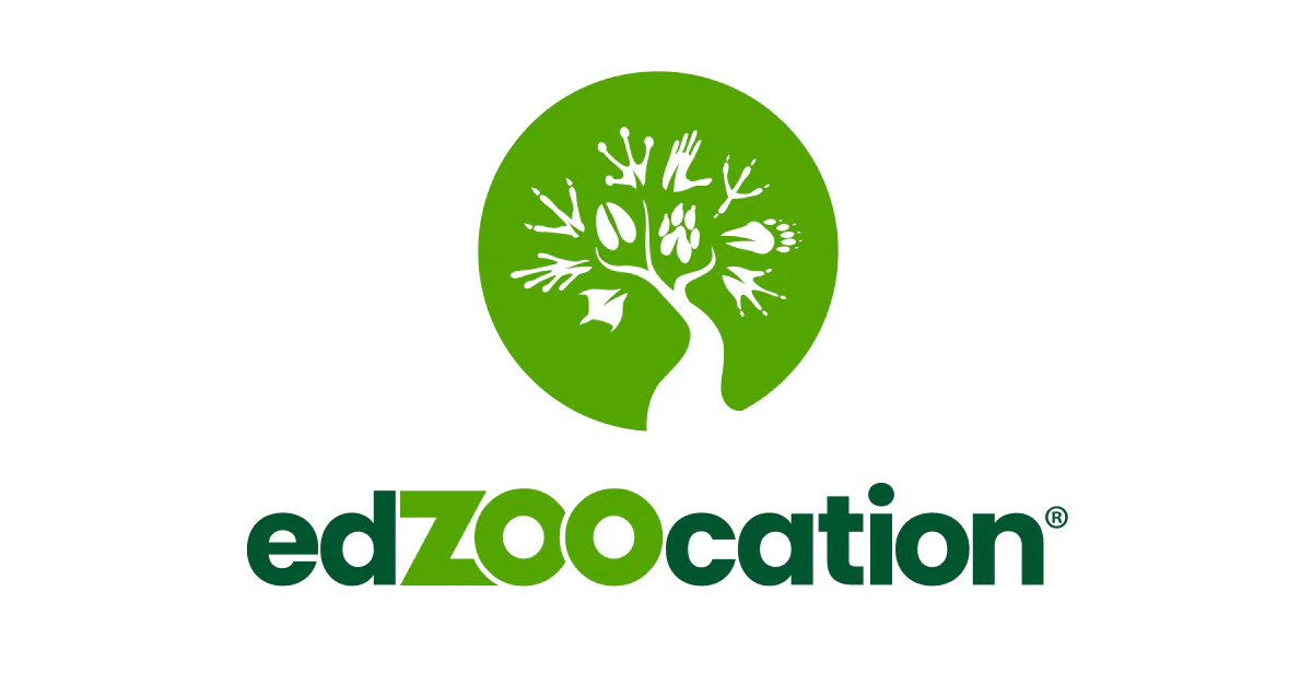 The Quiet Rise of edZOOcation: A Journey Through Play and Learning