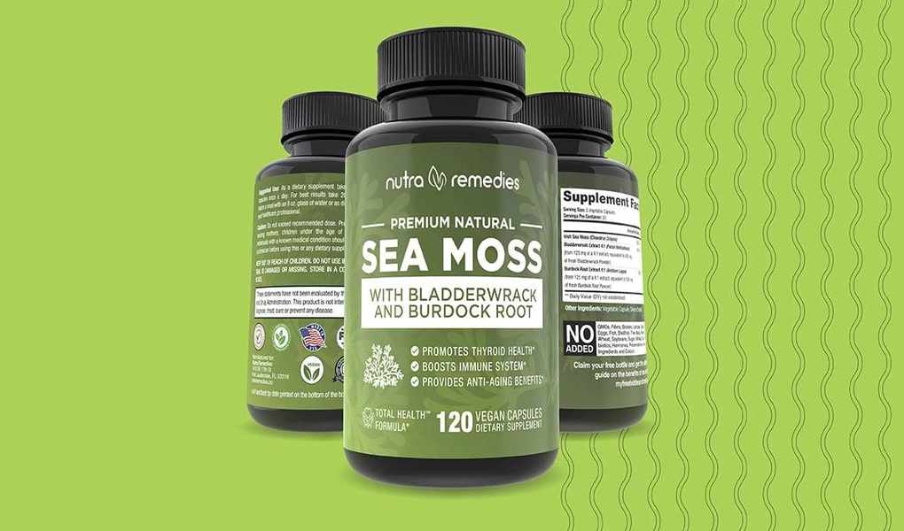 Your Complete Guide to Sea Moss by Nutra Remedies