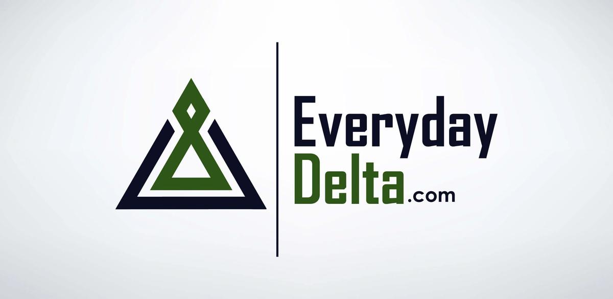 12 Essential Tips for Shopping at Everyday Delta