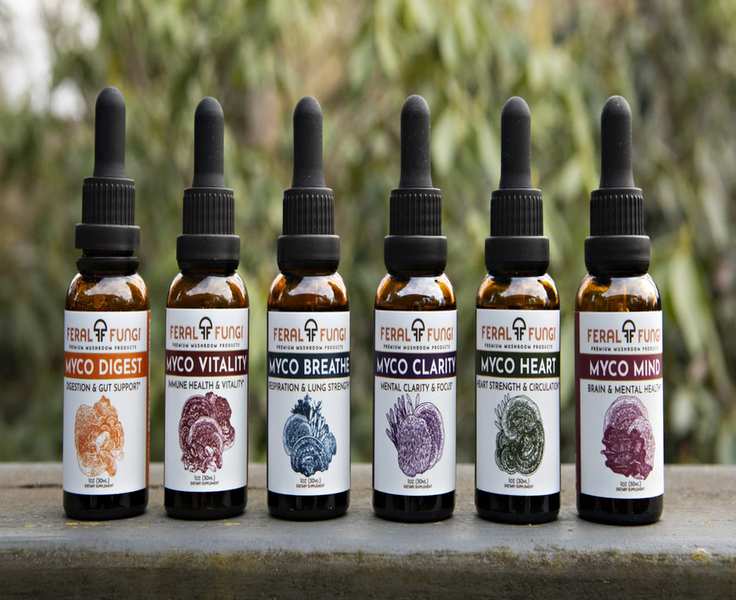 Exploring Feral Fungi: A Day in the World of Mushroom Wellness
