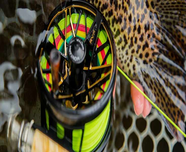 Fin & Fire: A Shopper's Field Guide for Outdoor Enthusiasts