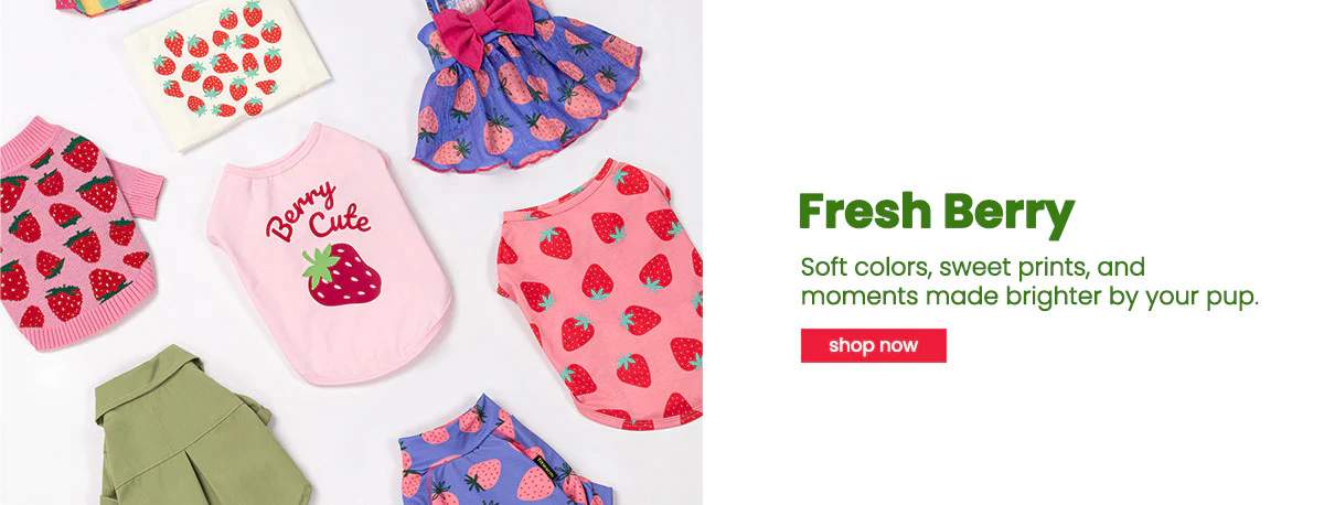 What You Actually Get When You Shop Fitwarm