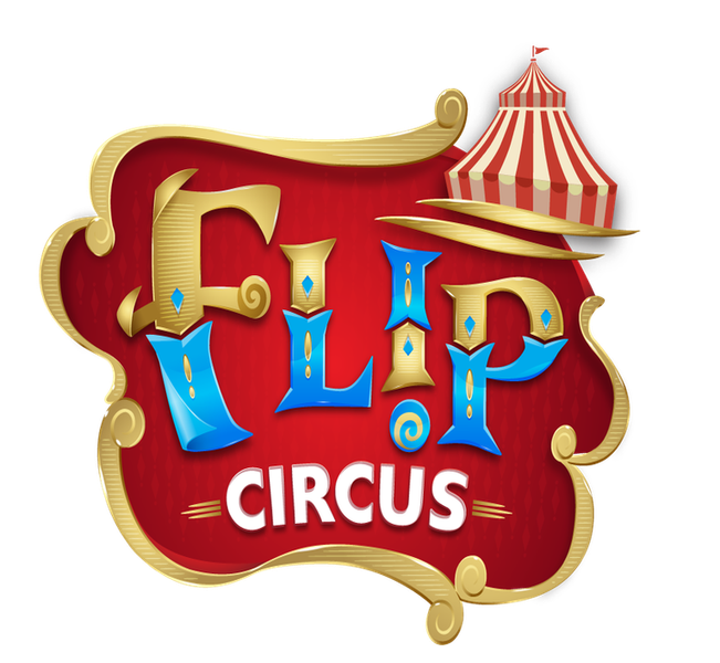 The Honest Take on Flip Circus: A Family Entertainment Experience