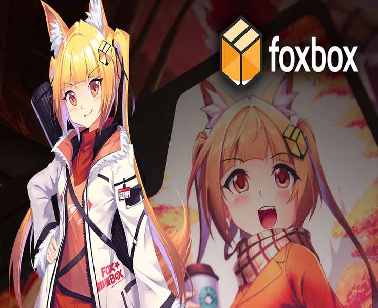 The Honest Take on Foxbox.io: Custom Gear for Your Devices