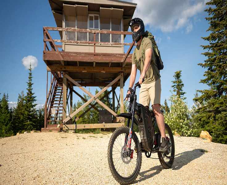 Explore Freegobikes: Your Guide to Eco-Friendly Mobility