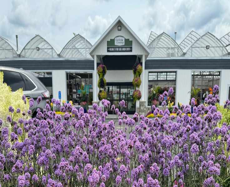 Cultivating Beauty: The Allure of Garden Crossings
