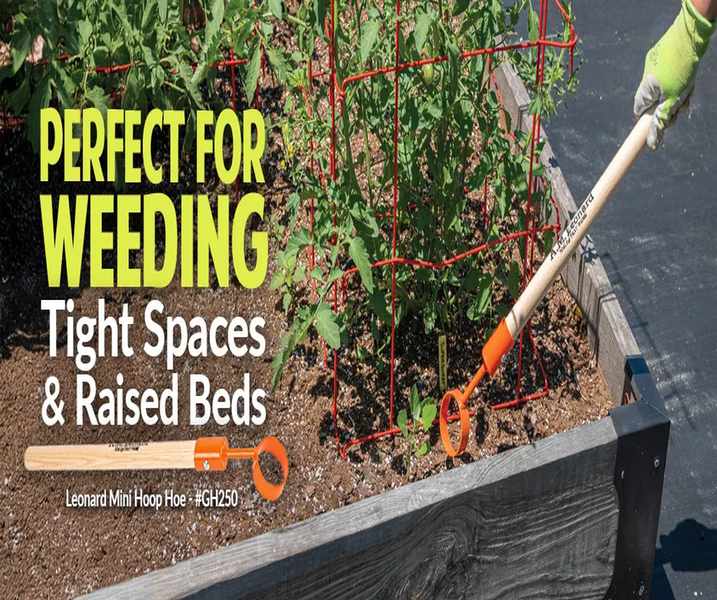 Gardener's Edge: A Closer Look at Your Backyard Needs