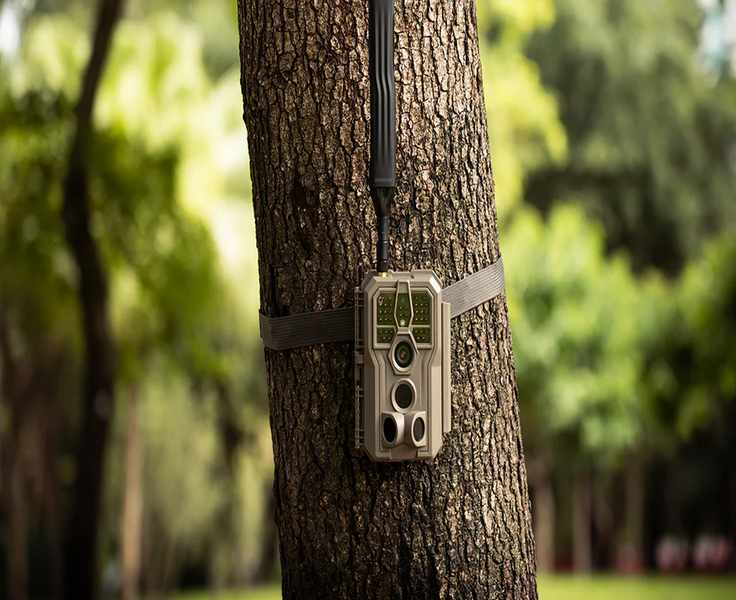 Exploring GardePro: The Hidden Gem in Outdoor Cameras