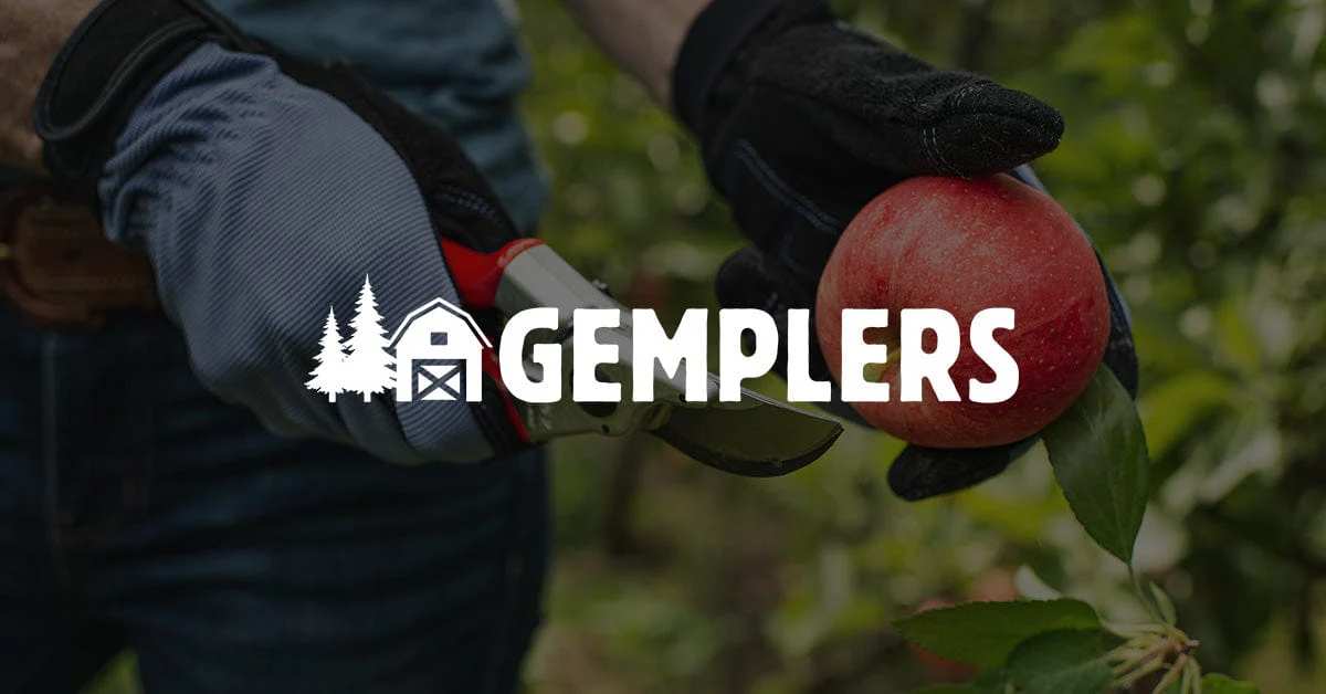 Transform Your Backyard: Brands Leading the Charge This Year
