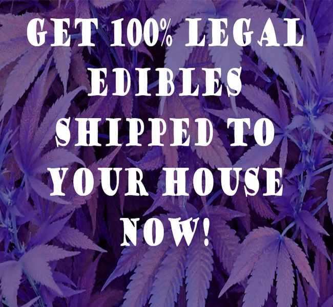 Shopping High off Hemp: 12 Smart Ways to Maximize Your Wellness