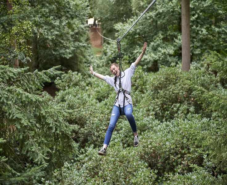 The Honest Comparison: Go Ape and What Else Is Out There