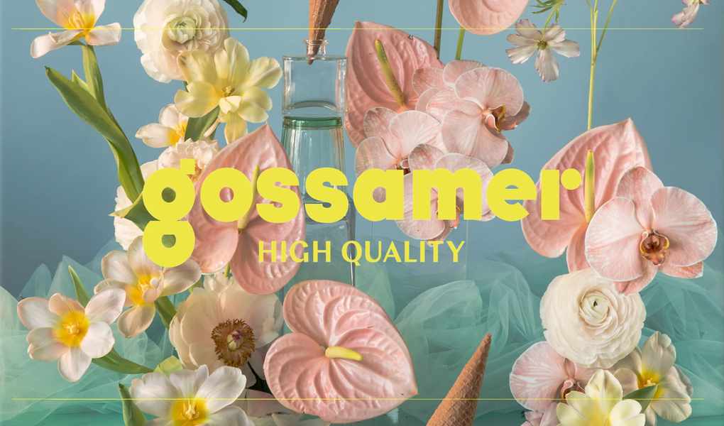 Gossamer or WIRED? Here's What Each Does Best
