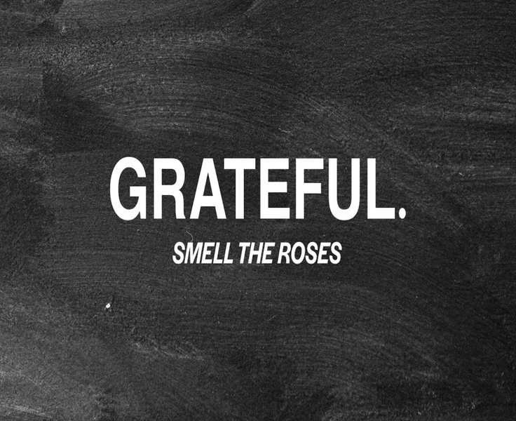 Grateful Apparel or H&M? Here's What Each Does Best