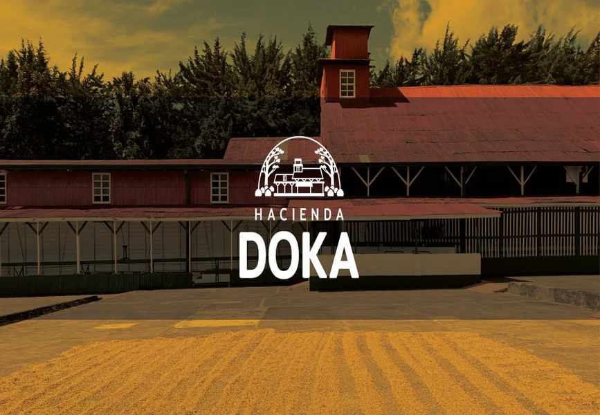 Hacienda Doka vs the Rest: Which One Actually Wins