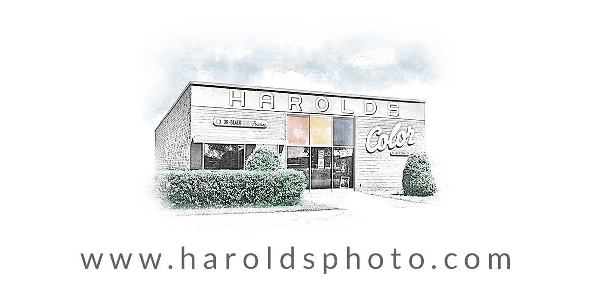 Harolds: From the Other Side of Checkout