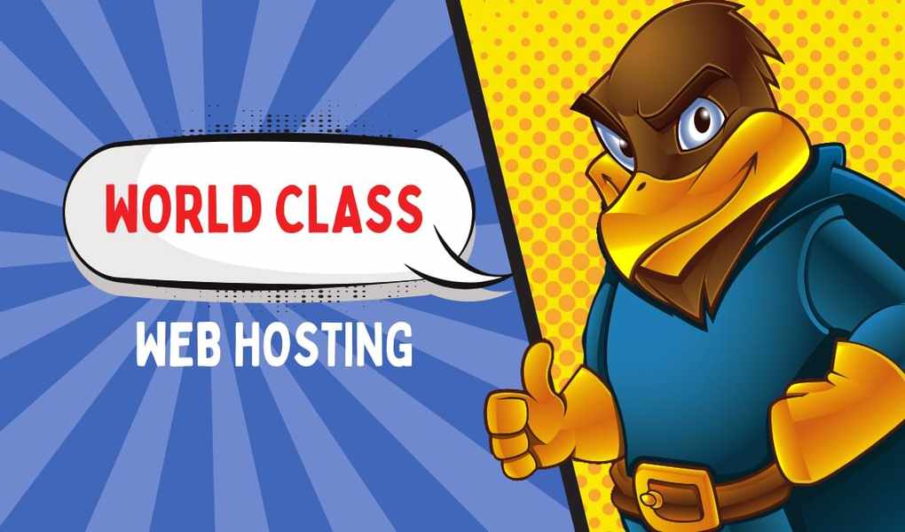 Hawk Host vs the Rest: Which Hosting Option Wins?