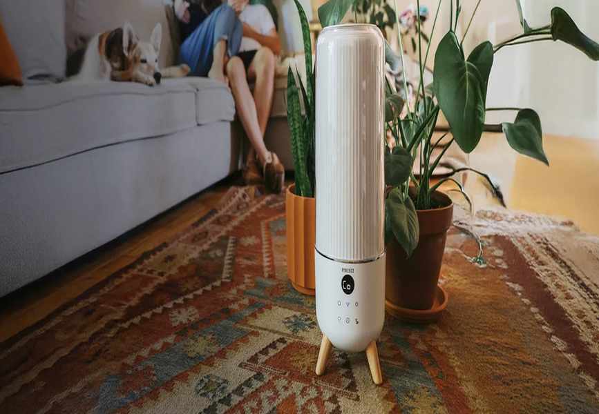 A Side-by-Side: HoMedics Against the Competition
