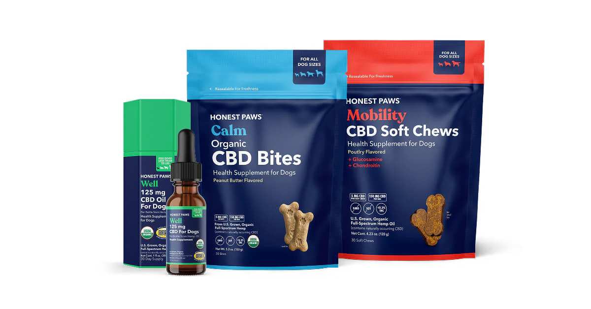 Where Pet Healthcare Is Headed — and Who's Leading