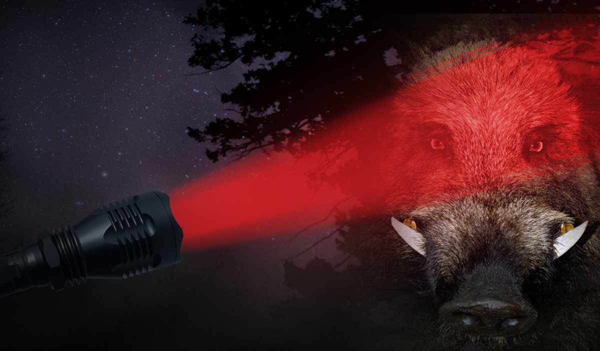 Hunting's New Wave: Brands to Know This Year