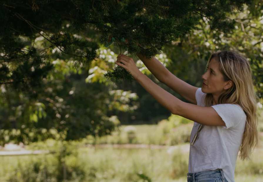 A Few Days With Linné Botanicals: What I Learned